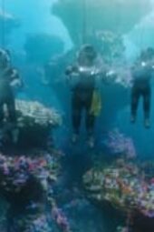Nonton Film South Sea Tomb Season 1 Episode 6 Terbaru